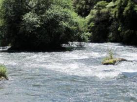 Tarawera River